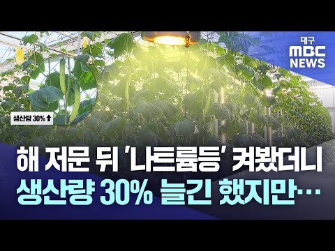 Environmental Data Logger and Photosynthe..